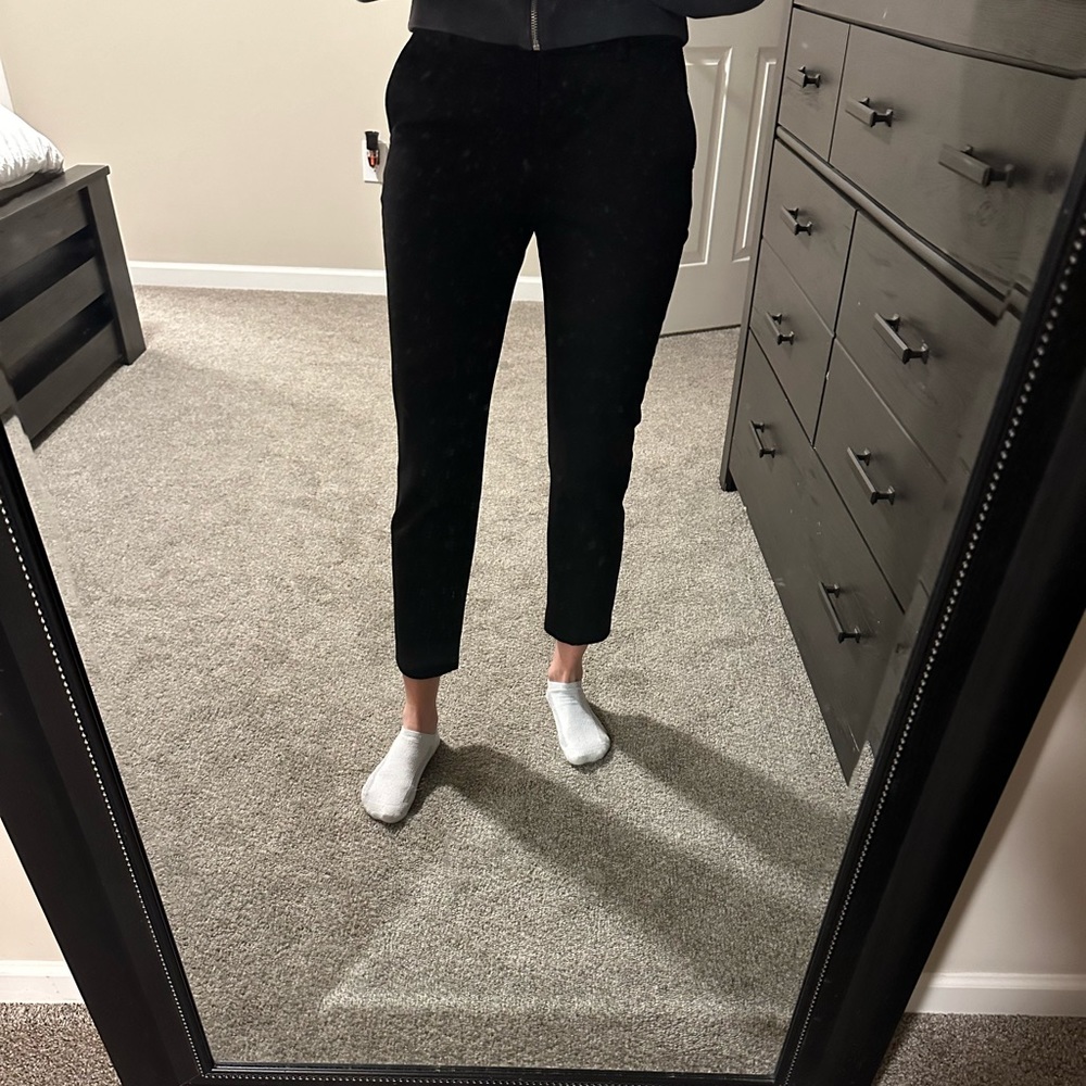 Express Dress Pants